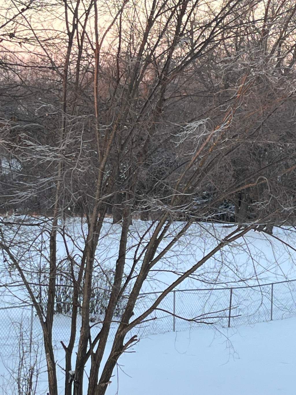 Cozy Winter Activities: Watch, Read,&nbsp;Create