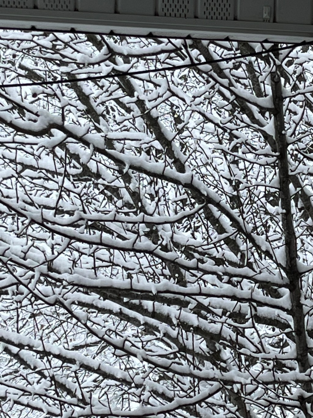 Winter Crafts and Unique Finds in Our Antique&nbsp;Booth