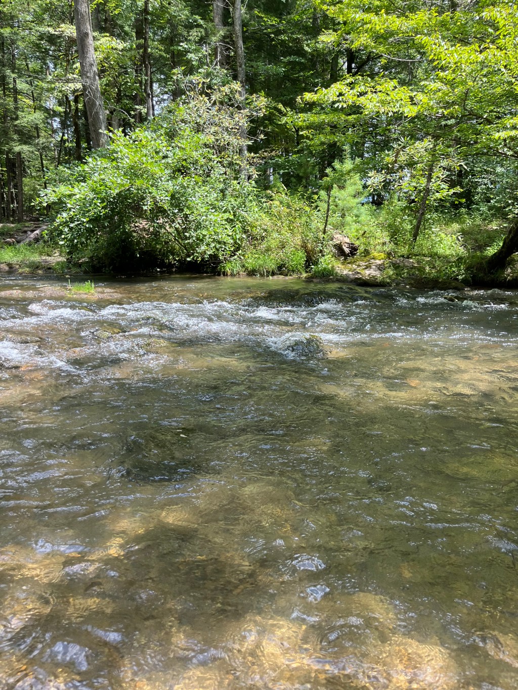 Unforgettable Youth Camp Experience in Tennessee