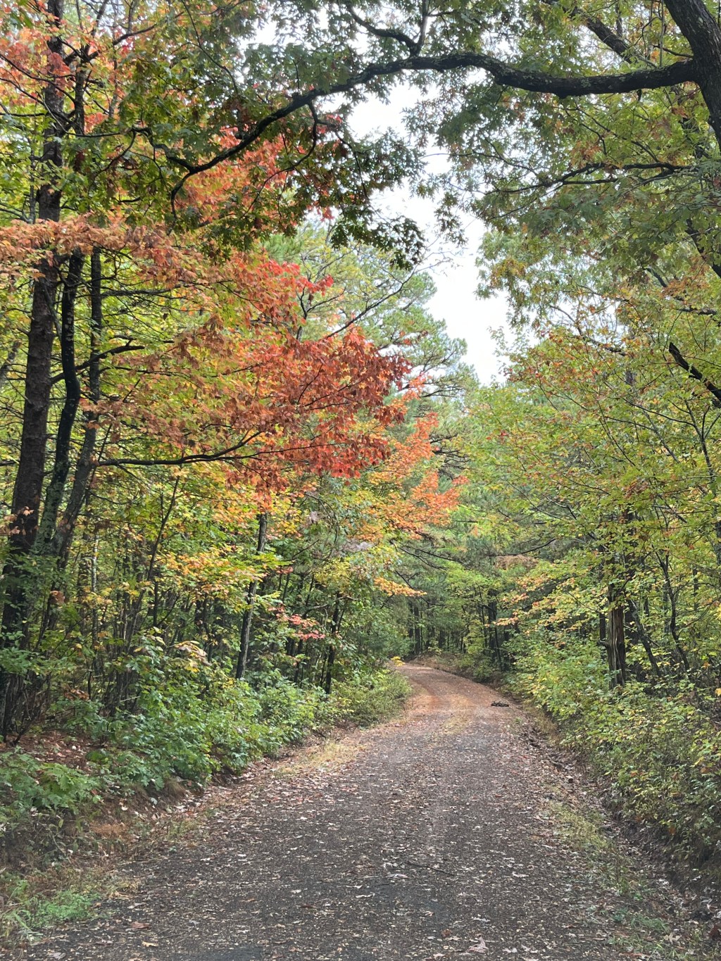 Vacation and vintage&nbsp;finds.